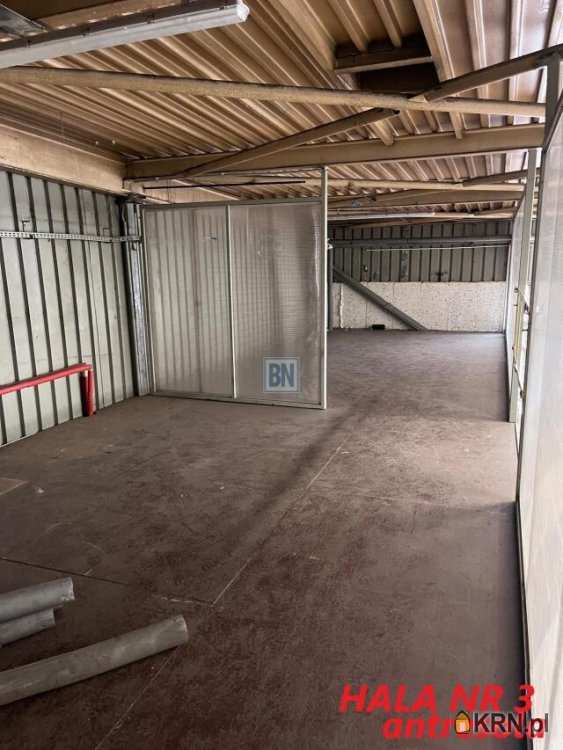 , Katowice, ul. , Lokal użytkowy  do wynajęcia