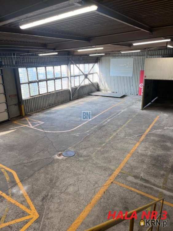 , Lokal użytkowy  do wynajęcia, Katowice, ul. 