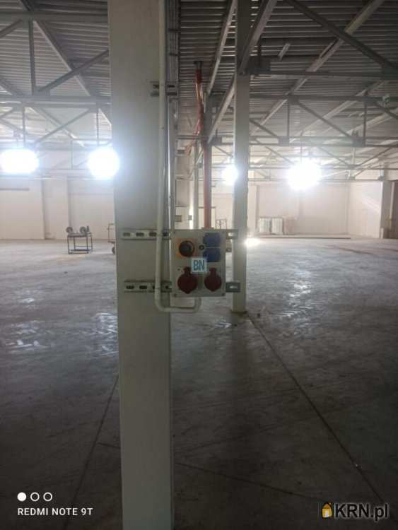 Zabrze, ul. , , Lokal użytkowy  do wynajęcia