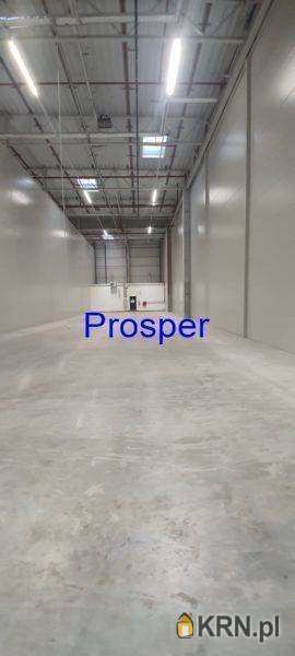 Lokal użytkowy  do wynajęcia, Katowice, ul. , 