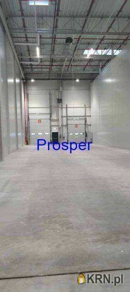 Lokal użytkowy  do wynajęcia, , Katowice, ul. 