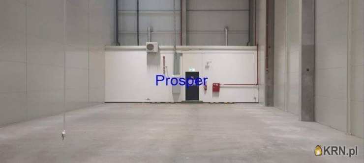 Katowice, ul. , Lokal użytkowy  do wynajęcia, 