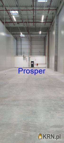 Katowice, ul. , , Lokal użytkowy  do wynajęcia