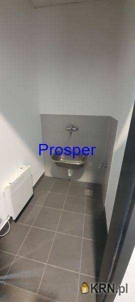 Lokal użytkowy  do wynajęcia, Katowice, ul. , 