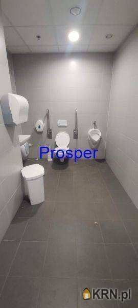 Lokal użytkowy  do wynajęcia, , Katowice, ul. 