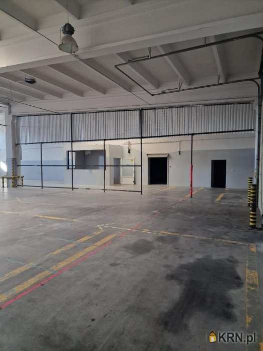 Płock, Kostrogaj, ul. , 4 pokojowe, Lokal użytkowy  do wynajęcia