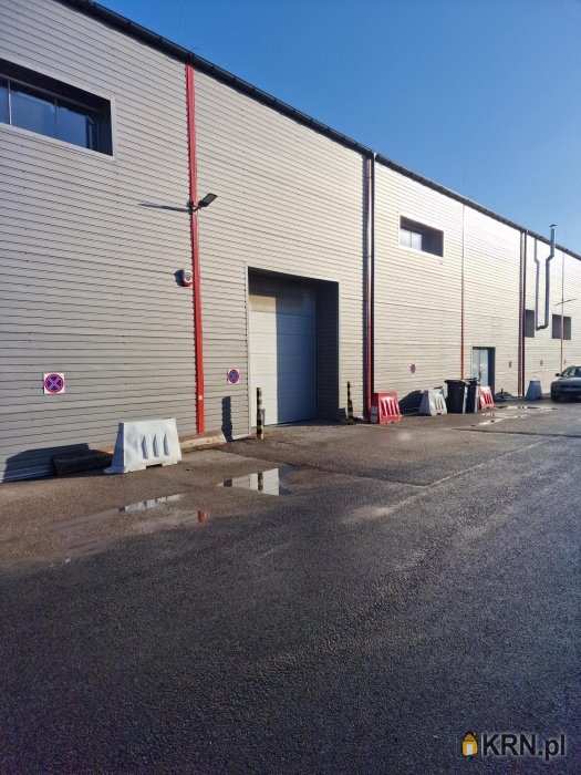 Płock, Kostrogaj, ul. , Lokal użytkowy  do wynajęcia, 4 pokojowe