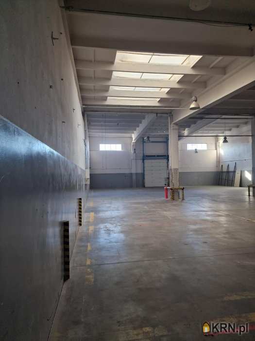 Płock, Kostrogaj, ul. , 4 pokojowe, Lokal użytkowy  do wynajęcia