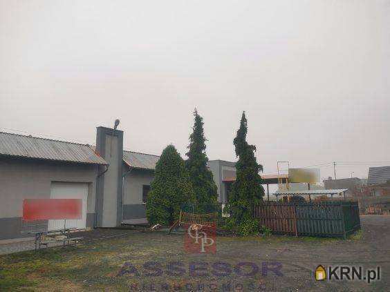 Lokal użytkowy  do wynajęcia, , Pleszew, ul. 