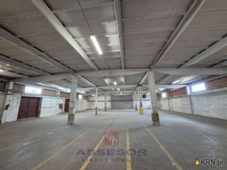 Lokal użytkowy  do wynajęcia, Kalisz, ul. , 