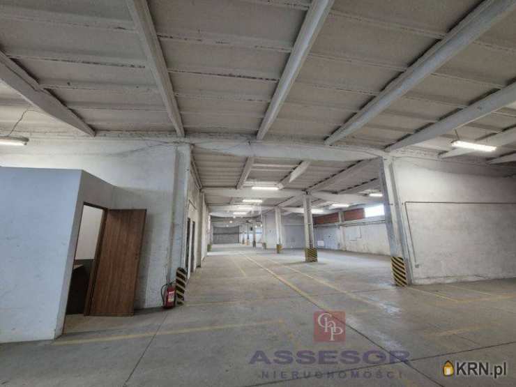 Lokal użytkowy  do wynajęcia, , Kalisz, ul. 