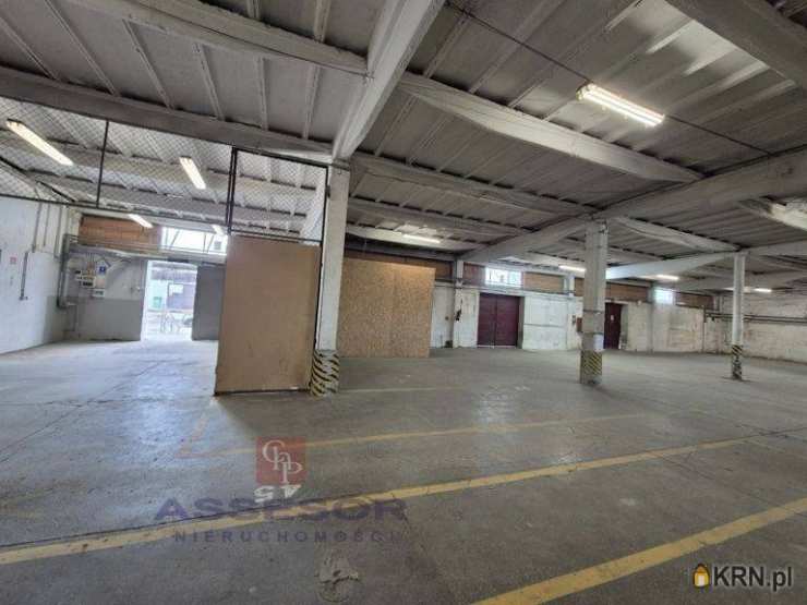 Kalisz, ul. , Lokal użytkowy  do wynajęcia, 