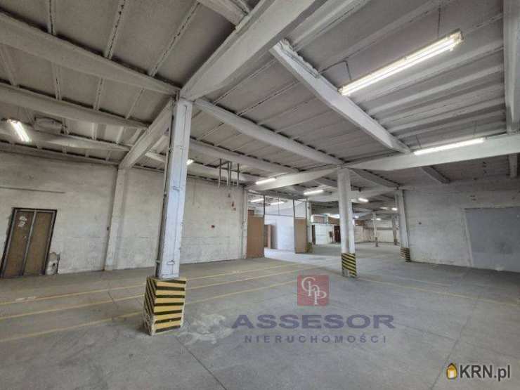 Assesor NIeruchomości, Lokal użytkowy  do wynajęcia, Kalisz, ul. 