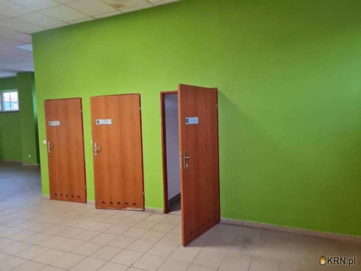 Rzeszów, ul. , 7 pokojowe, Lokal użytkowy  do wynajęcia