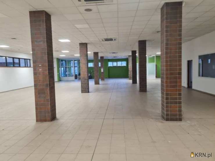 7 pokojowe, Lokal użytkowy  do wynajęcia, Rzeszów, ul. 