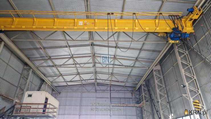 , Żory, ul. , Lokal użytkowy  do wynajęcia