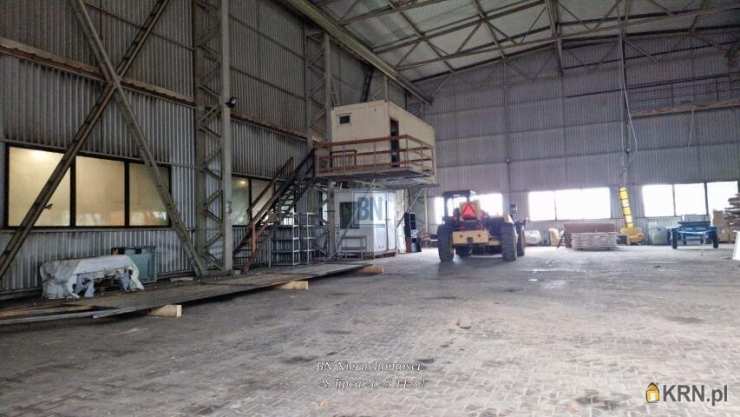 Lokal użytkowy  do wynajęcia, , Żory, ul. 