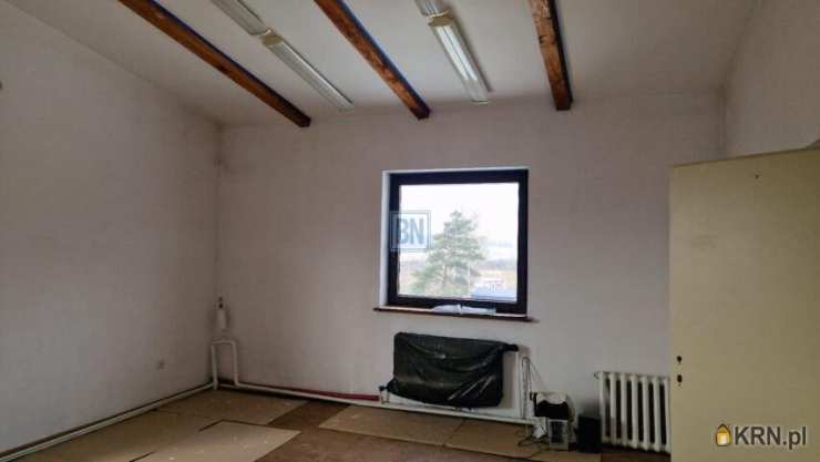 Siemianowice Śląskie, ul. , Lokal użytkowy  do wynajęcia, 