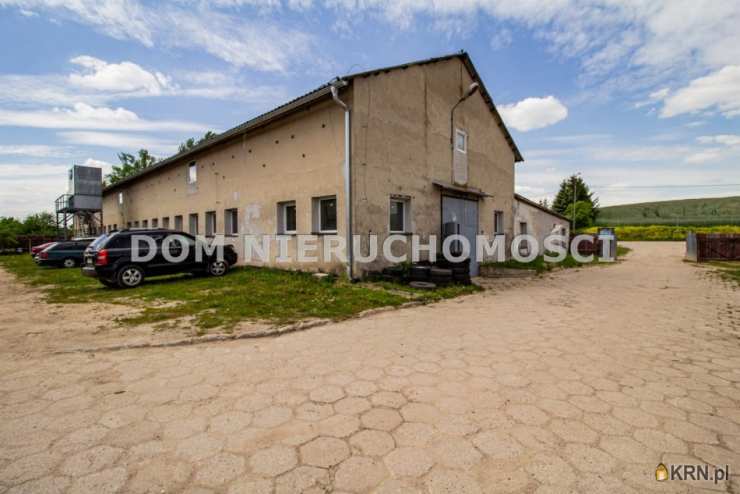 DOM Nieruchomości, Lokal użytkowy  do wynajęcia, Kieźliny, ul. 