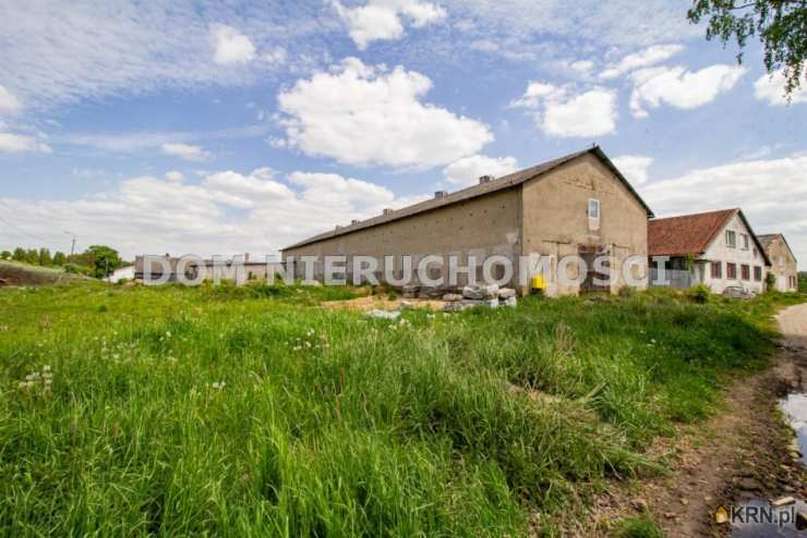 , Kieźliny, ul. , Lokal użytkowy  do wynajęcia