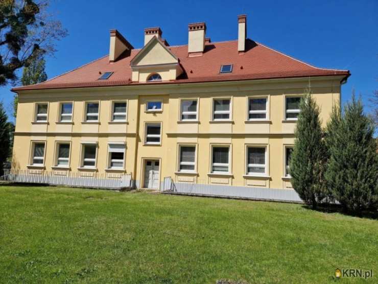 Lokal użytkowy  do wynajęcia, Poznań, Grunwald, ul. Grunwaldzka, 