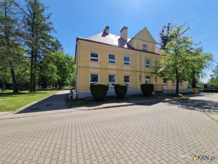 Poznań, Grunwald, ul. Grunwaldzka, , Lokal użytkowy  do wynajęcia