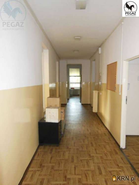 Lokal użytkowy  do wynajęcia, , Poznań, Grunwald, ul. Grunwaldzka