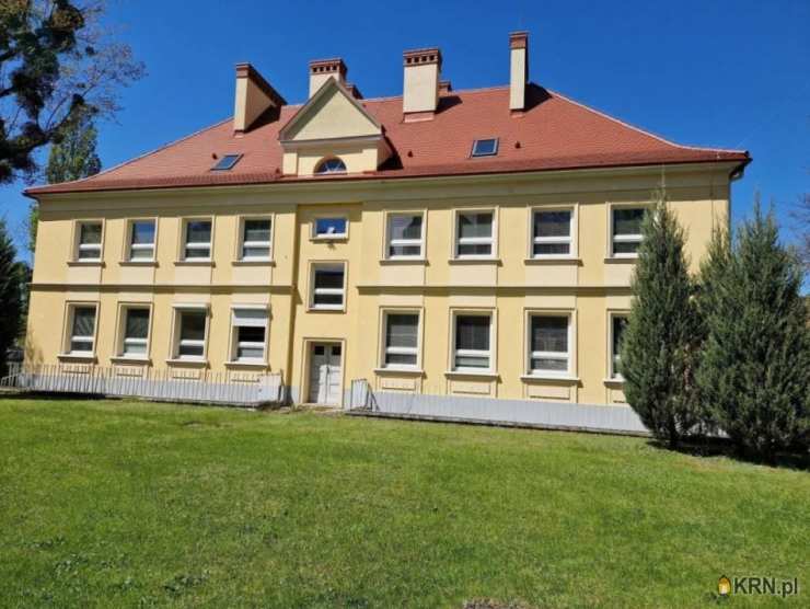 Lokal użytkowy  do wynajęcia, Poznań, Grunwald, ul. Grunwaldzka, 