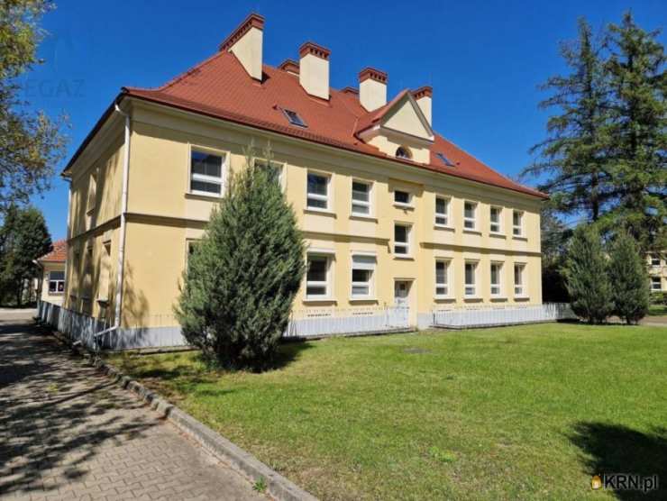 , Poznań, Grunwald, ul. Grunwaldzka, Lokal użytkowy  do wynajęcia