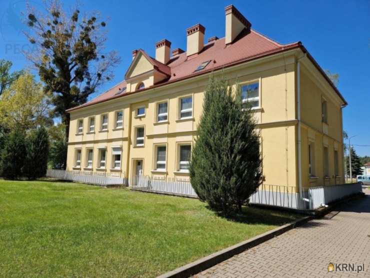 , Lokal użytkowy  do wynajęcia, Poznań, Grunwald, ul. Grunwaldzka