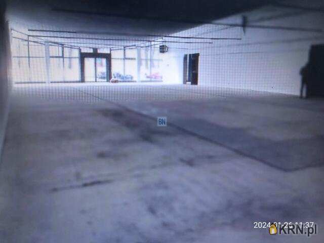 Lokal użytkowy  do wynajęcia, Gliwice, ul. , 3 pokojowe