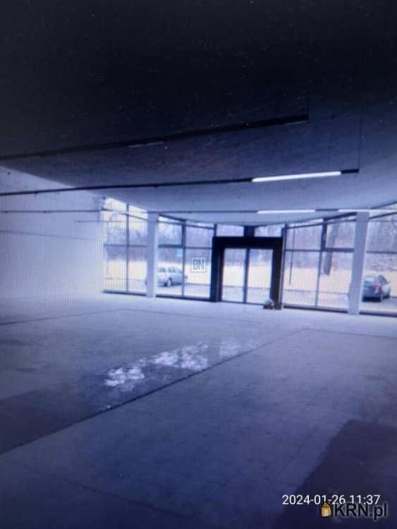 Lokal użytkowy  do wynajęcia, 3 pokojowe, Gliwice, ul. 