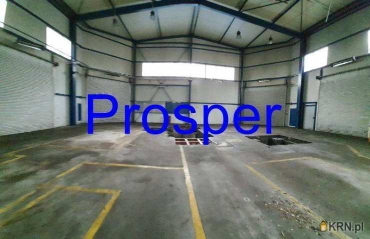 Lokal użytkowy  do wynajęcia, Gliwice, ul. , 