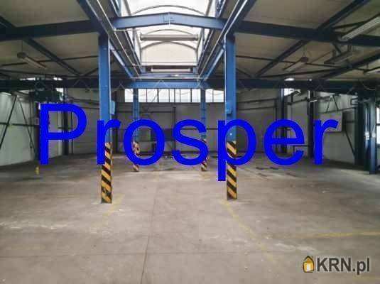 Lokal użytkowy  do wynajęcia, , Gliwice, ul. 