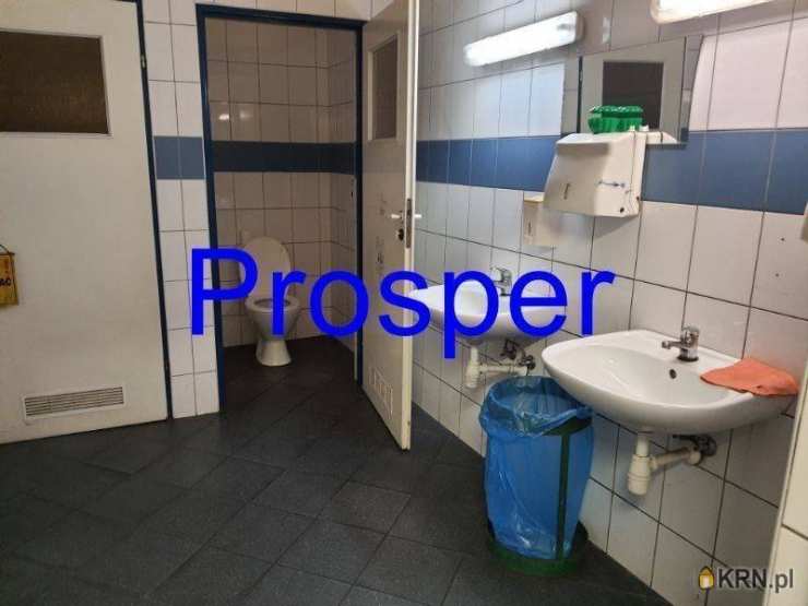 Gliwice, ul. , Lokal użytkowy  do wynajęcia, 