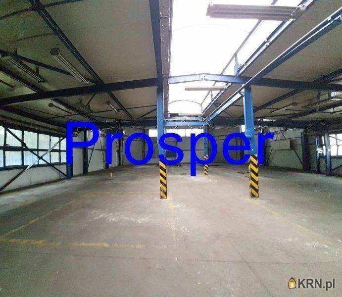 Gliwice, ul. , , Lokal użytkowy  do wynajęcia