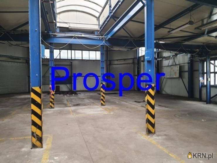 , Gliwice, ul. , Lokal użytkowy  do wynajęcia