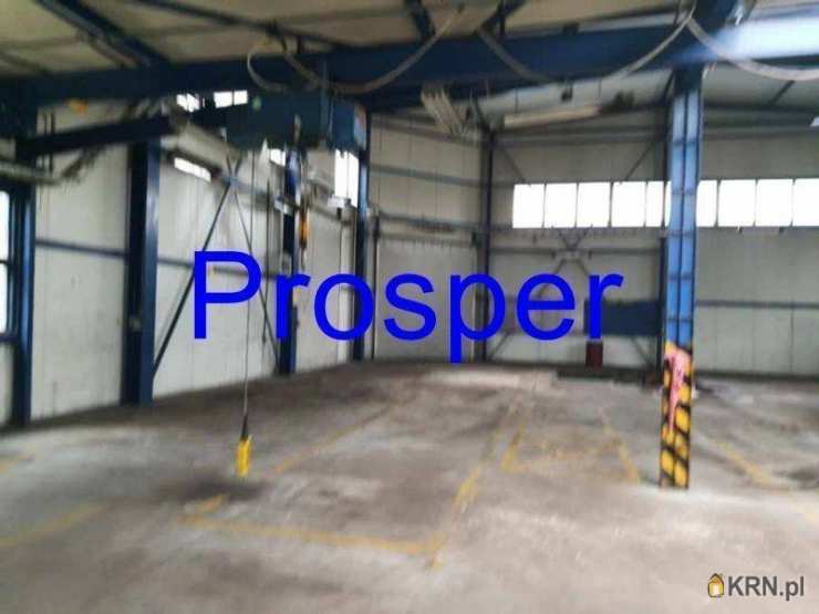 , Lokal użytkowy  do wynajęcia, Gliwice, ul. 