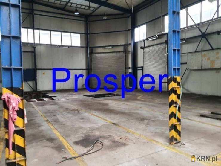 Prosper - Nieruchomości, Lokal użytkowy  do wynajęcia, Gliwice, ul. 