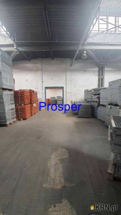 Lokal użytkowy  do wynajęcia, Sosnowiec, ul. , 