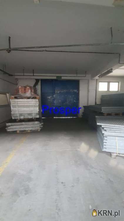 Lokal użytkowy  do wynajęcia, , Sosnowiec, ul. 