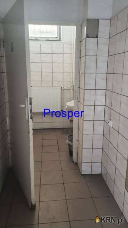 , Sosnowiec, ul. , Lokal użytkowy  do wynajęcia