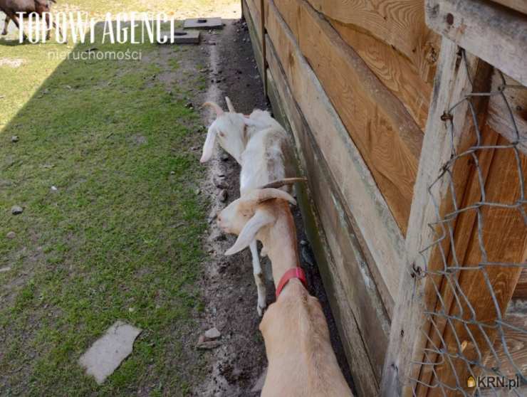 Lokal użytkowy  na sprzedaż, , Julianów, ul. 