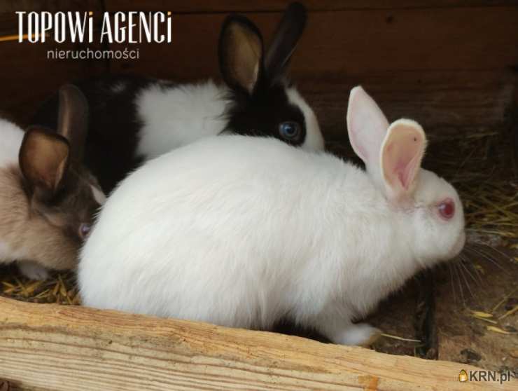 Julianów, ul. , Lokal użytkowy  na sprzedaż, 