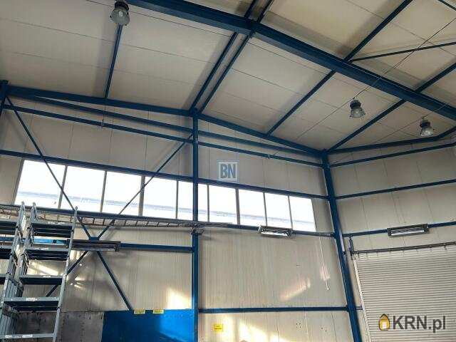 Lokal użytkowy  do wynajęcia, Gliwice, ul. , 1 pokojowe