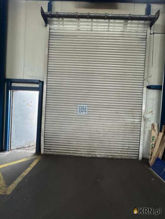 Gliwice, ul. , Lokal użytkowy  do wynajęcia, 1 pokojowe