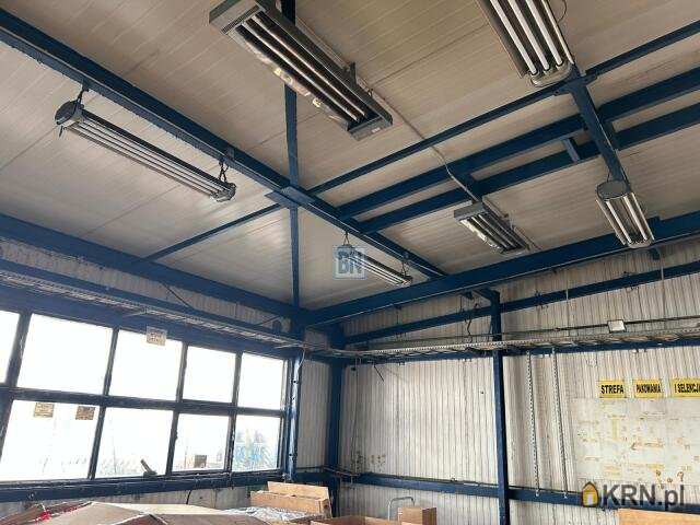 Gliwice, ul. , 1 pokojowe, Lokal użytkowy  do wynajęcia