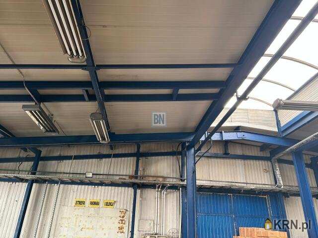 1 pokojowe, Gliwice, ul. , Lokal użytkowy  do wynajęcia