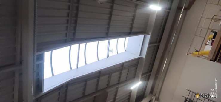 10 pokojowe, Zabrze, ul. , Lokal użytkowy  do wynajęcia