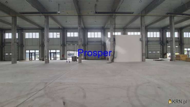 Sosnowiec, ul. , Lokal użytkowy  do wynajęcia, 